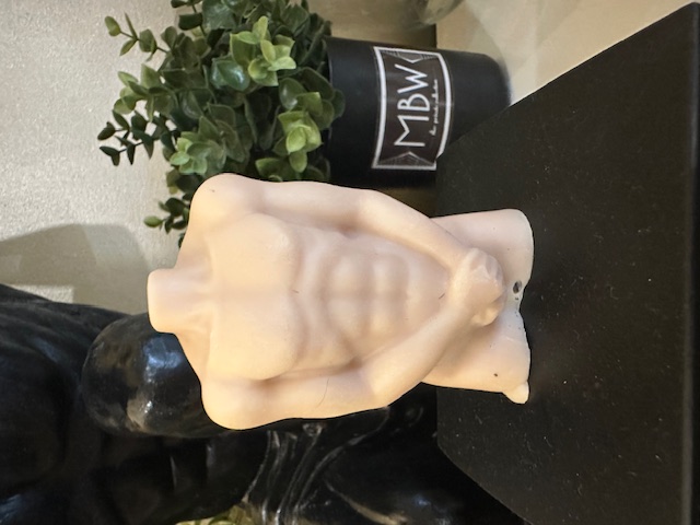 Shy Guy Handmade Soap