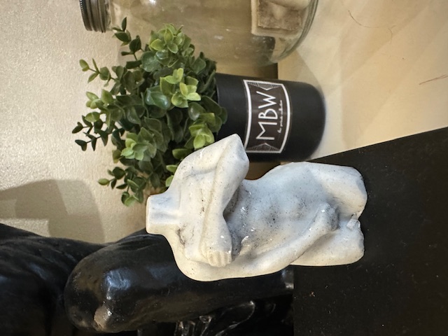 Shy Gal Handmade Soap